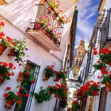 Con Jardin Y Piscina En Apartamento